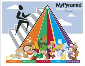 Newest USDA Food Pyramid graphic from mypyramid.com
